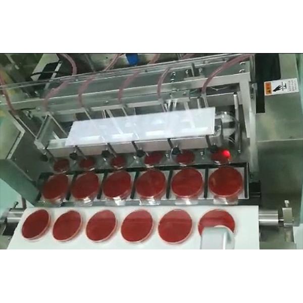 Automatic Petri Dish Filling Machine 2000BPH for 55mm 90mm Plates