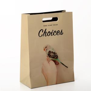 Quality Custom Printed Paper Bags Gift Packaging With Die Cut Patch Handle for sale