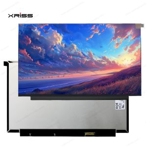 Quality 13.3 Inch Touch Screen For Lenovo ThinkBook 13x ITG Notebook PC Digitizer Assembly Replacement for sale