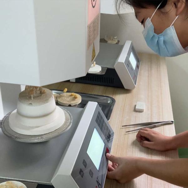 Titanium Abutment and Zirconia Crown Implant Supported Dentures Precision Fit for Comfortable Wear