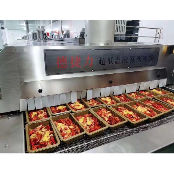 DJL Liquid Nitrogen Cooling Tunnel Freezing Equipment For High Quality