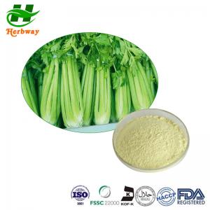 Quality CAS 520-36-5 Herbal Extract Powder Celery Extract Powder Celery Seed Extract Apigenin 98% for sale