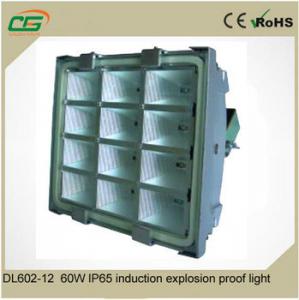 China DC 36V Induction 60 Watt Led Canopy Lights For Gas Station IP65 Aluminum Cool White 5500K on sale
