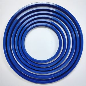 Quality Oem HYVA Seal Hallite Rod Seal Double NBR PU for sale