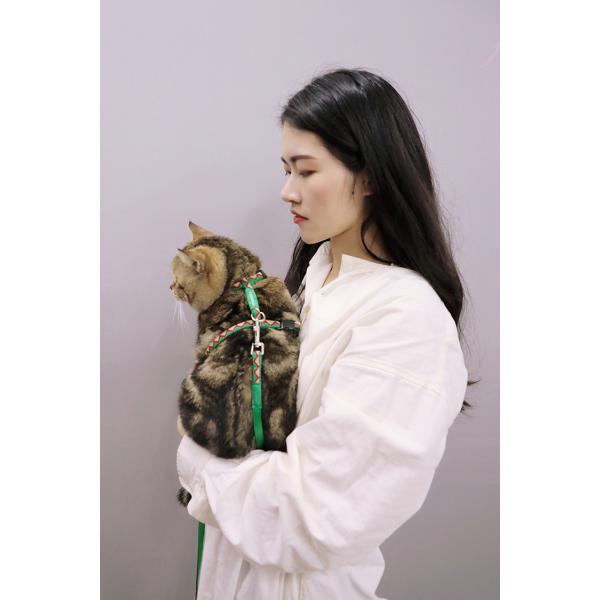 Christmas Xs Small Kitten Harness And Leash Green Red Nylon Strap