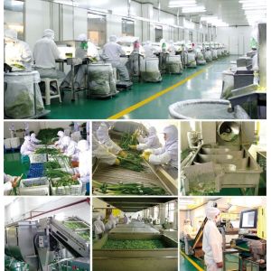 China asahi ever international co.,ltd