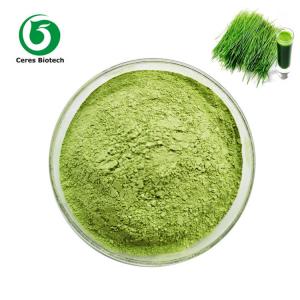 Quality Organic Wheat Grass powder,High quality Wheatgrass Powder 100% natural for sale