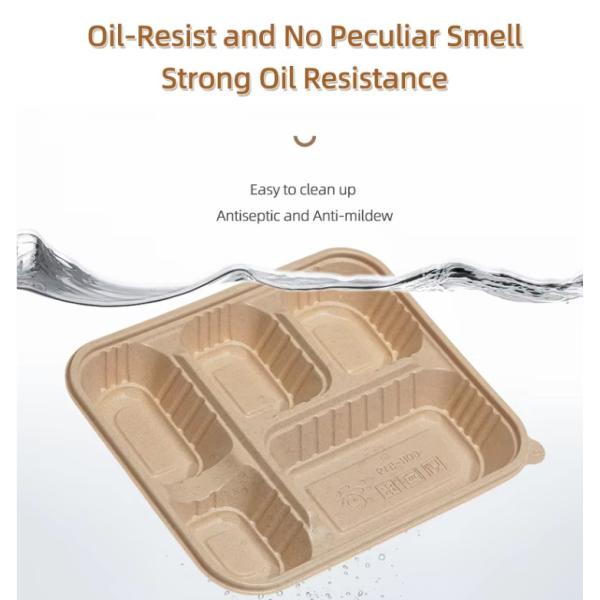 Biodegradable Disposable Rice Husk Fiber Lunch Box Compostable Takeaway Container Eco-Friendly Food Packaging