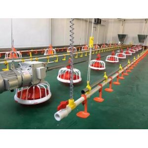 China Diameter 60mm Poultry Farm Feeding Machine Galvanized Steel on sale