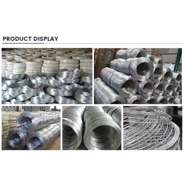 Zinc Coated Bwg 8 Bwg 22 2.5mm 3mm 4mm Galvanized Steel Wire Carbon Steel Wire Rod