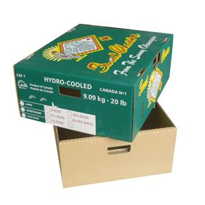Buy cheap Strong Fruit Packaging Carton Tomato Box Cherry Box with Lid from wholesalers