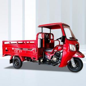 Quality 200/250/300cc Engine Open Body Type Tricycle Motorcycle Moto for Manufacturing for sale