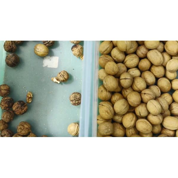 Peanut Groundnut Optical Sorting Machine High Accuracy Stainless Steel Almond Raisin Sorter