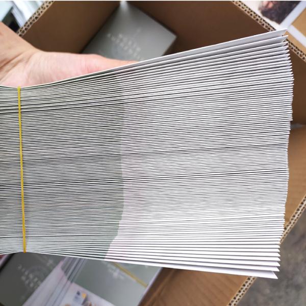 Folded Flyer Brochure Printing Services A3 A4 A5 Advertising CMYK Pantone