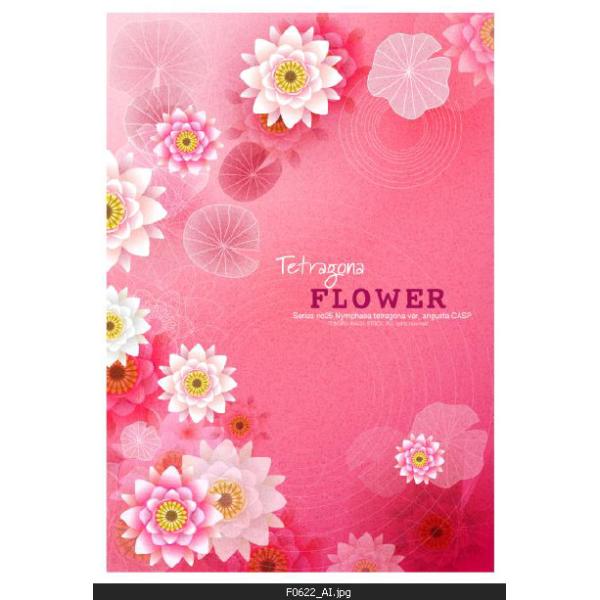 Custom blackout fabric digital printing roller blinds Funky Digital Printing Customized Roller Blinds For Living Room