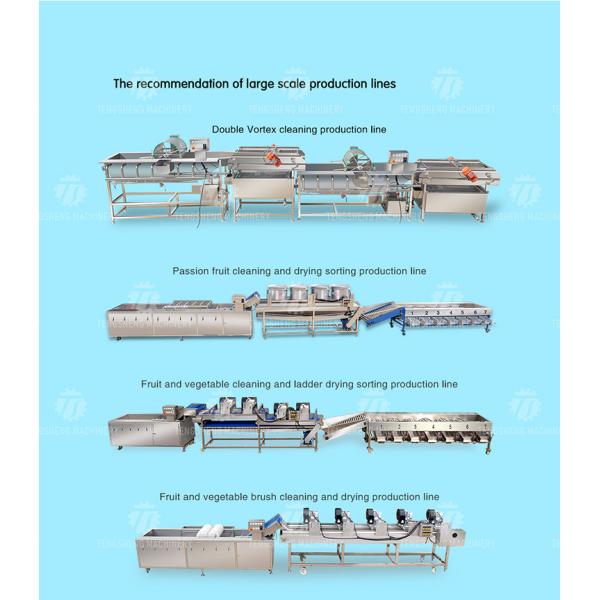 Automatic Vegetable And Fruit Production Line Selection Cutting And Washing Machine