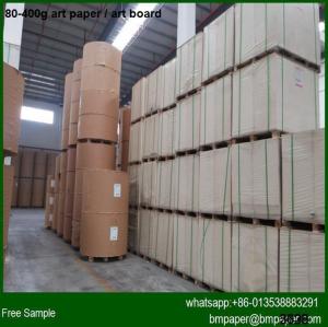 Quality 80gsm 72*102cm gloss C2S paper/ screen printing paper for sale