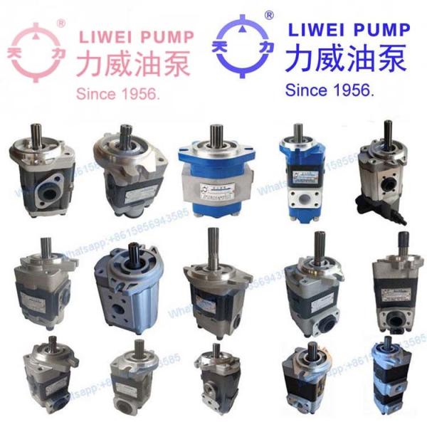 HEWEI Forklift Automatic Gearbox Converter Torque For Fd20-30-16 30B-13-11110