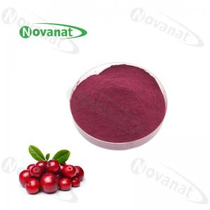 China 25% Anthocyanidins Bilberry Extract Powder on sale