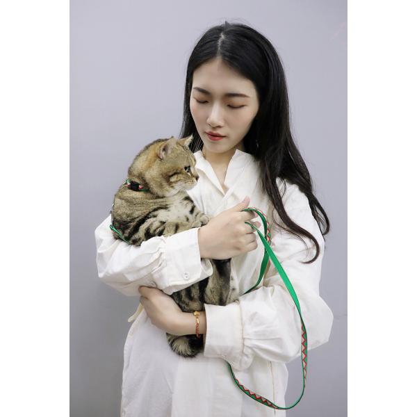 Christmas Xs Small Kitten Harness And Leash Green Red Nylon Strap