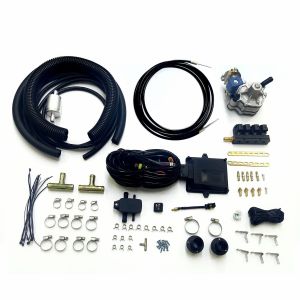 Quality LPG Multipoint Conversion Kits For 48 Pin CNG LPG Automatic Sequential Injection System for sale
