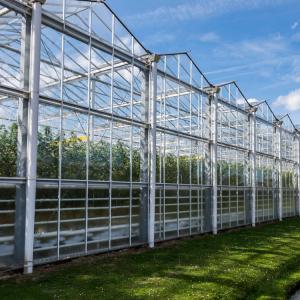 China Hydroponic Growing System Agricultural Solar Glass Greenhouse For Vegetables on sale