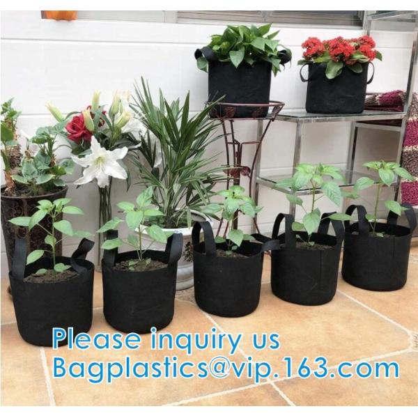 Smart Grow Bags For Potato/Plant Container/Aeration Fabric Pots With Handles Fabric Plants Pots with Handles, Indoor