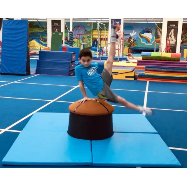 Gymnastics Training Equipment Olympia Pommel Trainer Elite For For Advanced Training