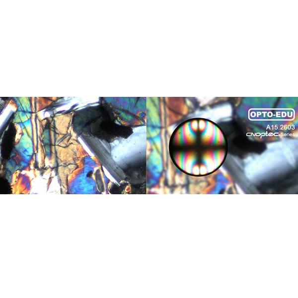 40 - 400x Center Adjustable Compound Light Microscope 110V - 240V With Full Polarizing Function