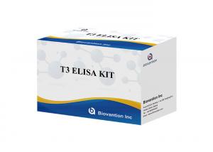 Quality Triiodothyronine T3 Elisa Test Kit 96 Tests Elisa Blood Serum Test for sale