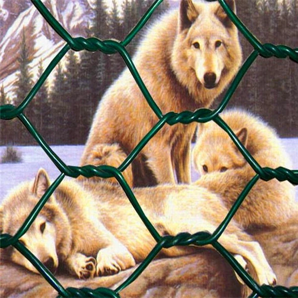 1/2&quot; 3/8&quot; 3/4&quot; 1&quot; Galvanized Hexagonal Chicken Wire Mesh