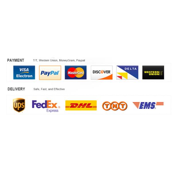 RHD Right Hand Drive 50 Seats Diesel Bus with 6-8L Engine Capacity and Durable