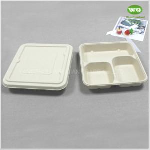 Quality Biodegradable Sugarcane Pulp 3-Coms Square Disposable Lunch Tray With Lid-100% Compostable Disposable Catering Trays for sale