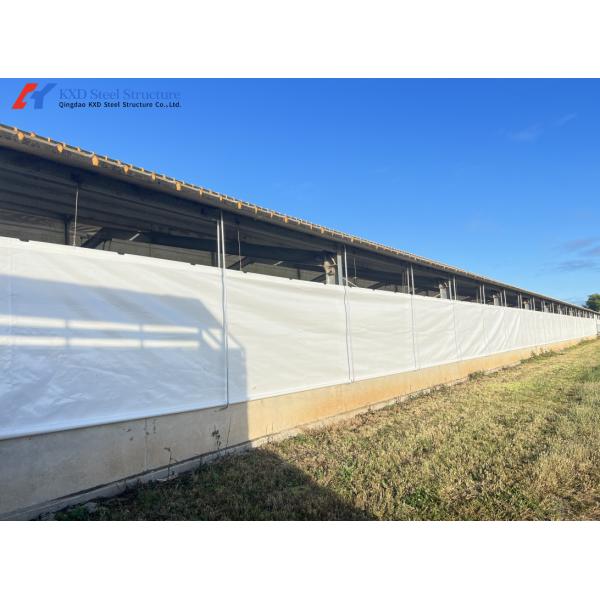 Customized Piggery Farm Equipment Fully Automatic Pig Wet Dry Feeder