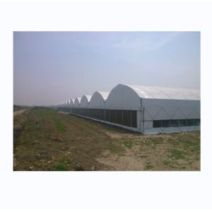 China Hot Dip Galvanized Steel Frame Movable Bench Automated Light Deprivation Greenhouse on sale