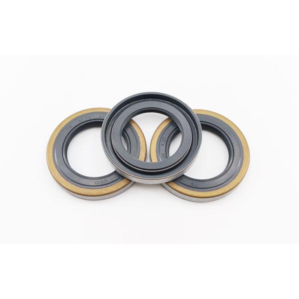 Double Lip Skeleton Oil Seal FKM High Temperature Resistant Up To 250°C
