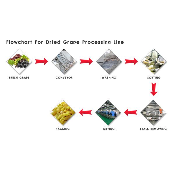 Durable Dried Fruit Processing Plant Dried Fruit Dehydrator Customized Voltage