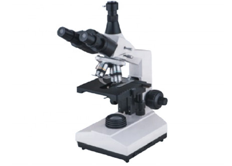 Trinocular WF10X 1600X Inverted Biological Microscope Compound Halogen Lamp 6V 20W