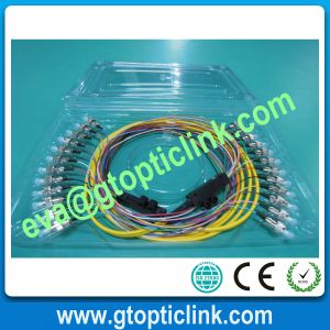 Quality ST SM 12cores Fiber Pigtail with PVC LSZH for sale