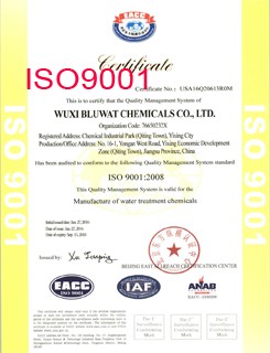 Industrial Water Treatment Flocculant Decoloring Agent ISO9001 SGS BV