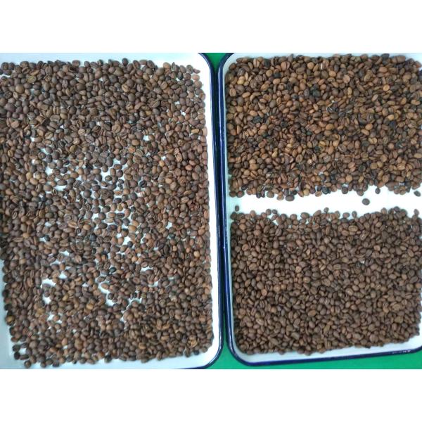 Latest Market Price CCD LED Chickpea Beans Color Sorter Popular in the USA