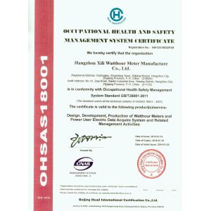 Hangzhou xili watthour meter manufacture co.,ltd Certifications