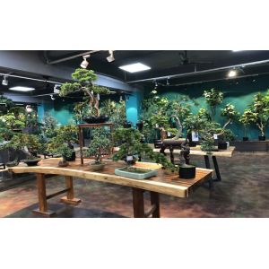 Xiamen Sharetrade Import & Export Co., Ltd.