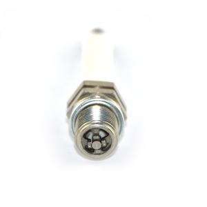 Quality Four Electrode BERU Champion Jenbacher Generator Spark Plug for sale
