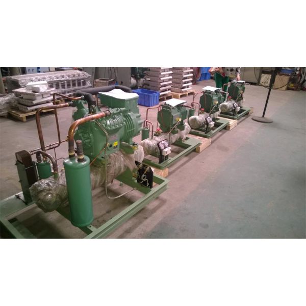 Fresh Meat Fish Storage Cold Room Modular Assembly With Compressor Split System