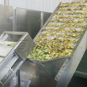 Quality Dehydrated Fruit Chips Machine Continuous Feeding Belt Dryer Avocados Peaches Plums Drying System for sale