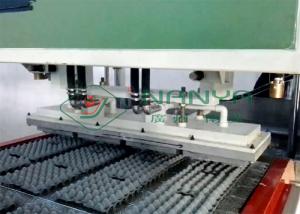 Quality Pulp Molding Paper Egg Carton Machine , Automatic Egg Trays Production Line for sale
