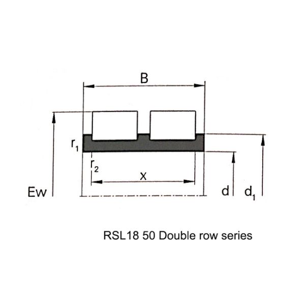 Double Row Cylindrical Roller Bearing Full Complement Without Outer Ring