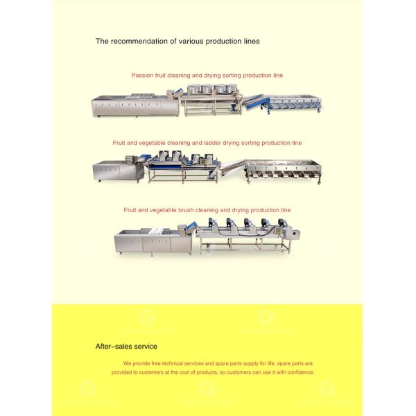 Meat Vegetable Fruit Sorting Table Food Machine SS304 Z Type Structure