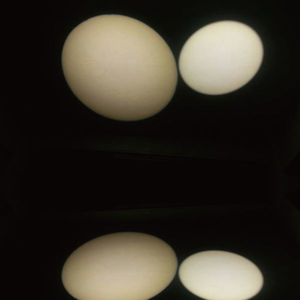 200W 6/7/10 CH DMX512 Led Ellipsoidal Reflector Spotlight Perfect Wash Effects